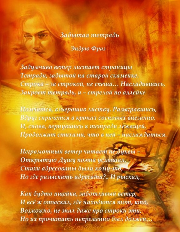 Забытая тетрадь