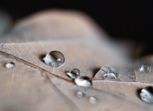 Тебя не хватает...