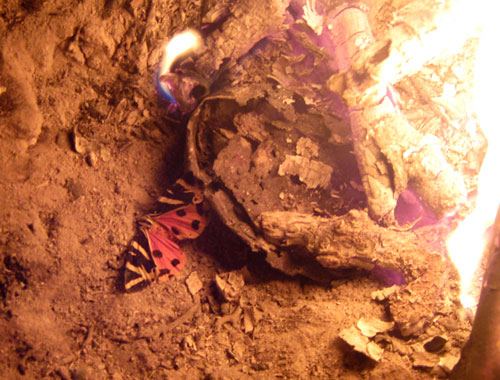 Я жить хочу