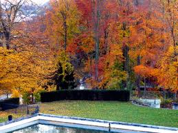 Осень на пороге