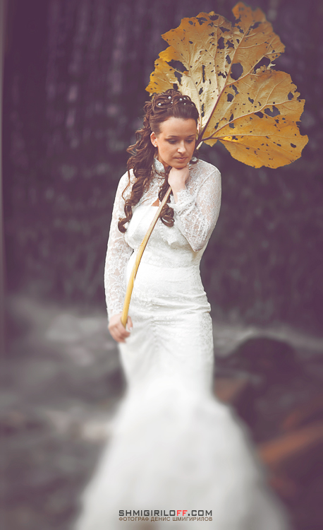 Осени запутанный клубок