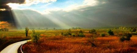 Осень настала?