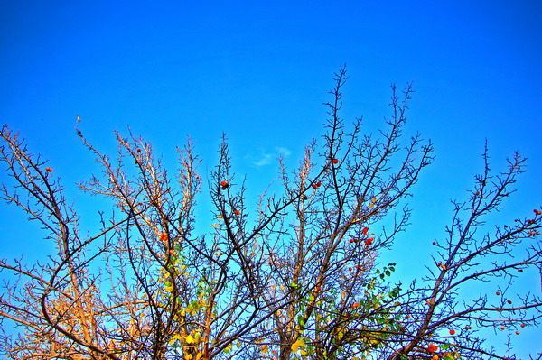 Осень стерва рыжая...