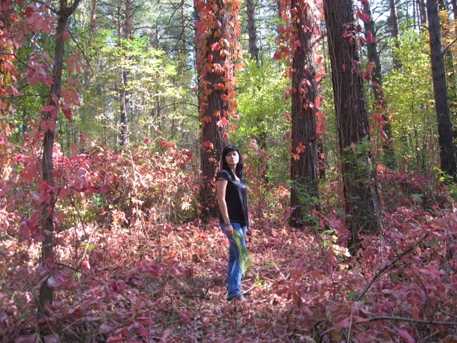 Капли осенней грусти...