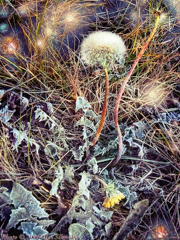 Любовь - забава