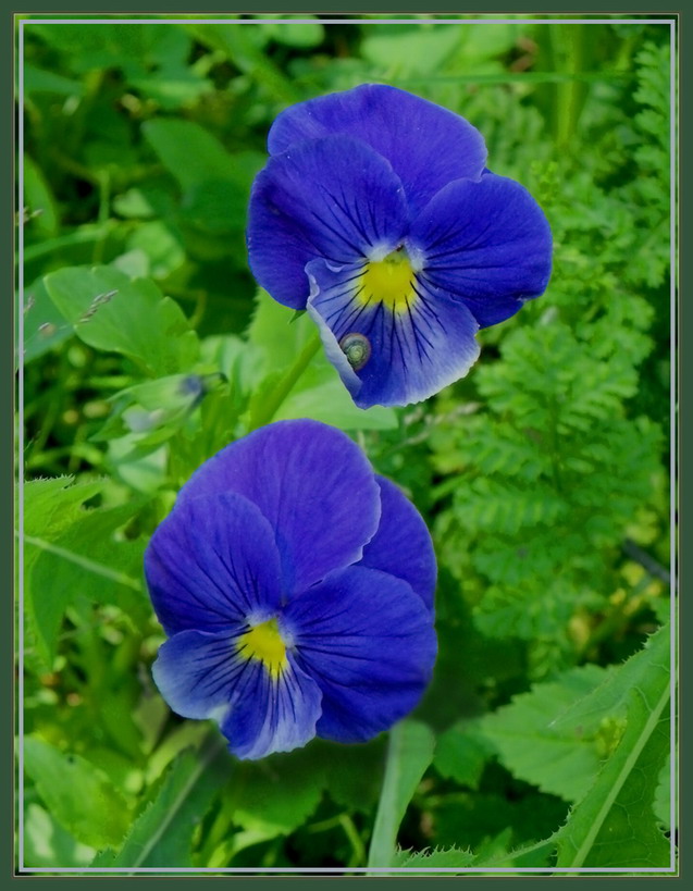 Людмиле, моей дорогой подруге...