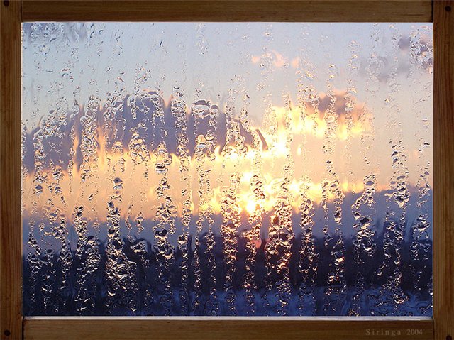 Осень - любовь