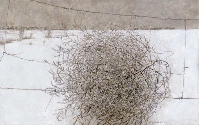 Как нарисовать перекати поле