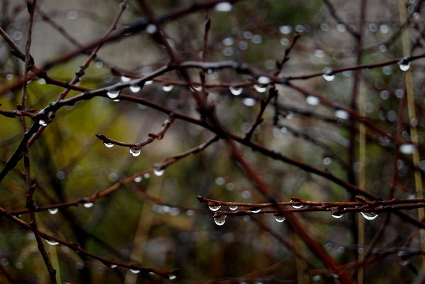 Осень подкралась так незаметно...
