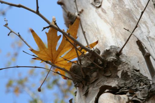 Между строк..