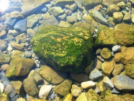 Озёрное притяжение...