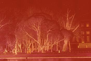 Без тебя в тиши грущу