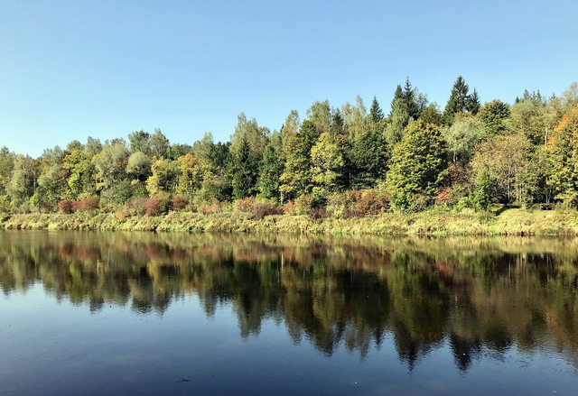 До свидания и прощай