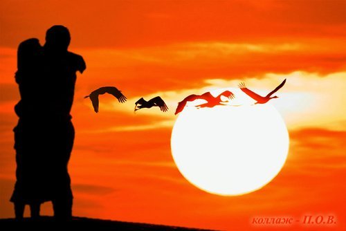 Любите друг друга!