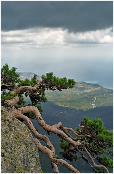 Приснился мне сегодня сон...