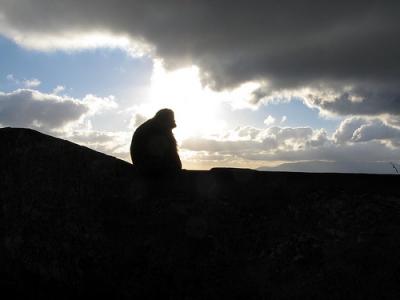 Серое небо... Тучи пеленой...