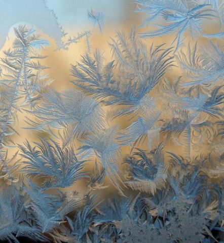 Петельки невнимания сплетаются в венок...