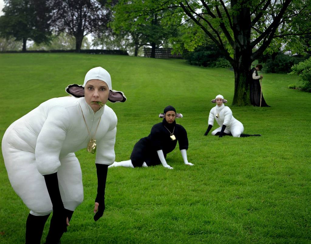 Счастливые овец не считают