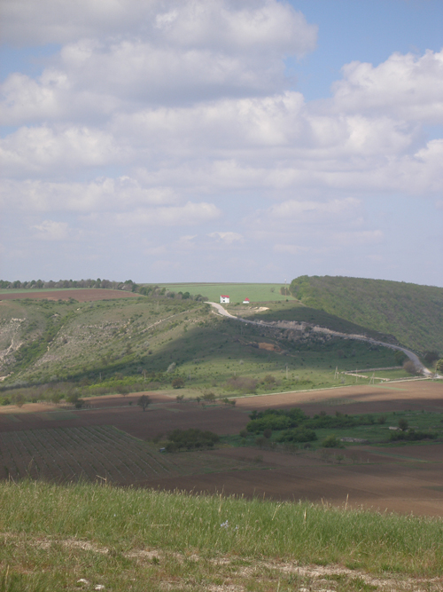 Где Тома Алистар играл на скрипке...