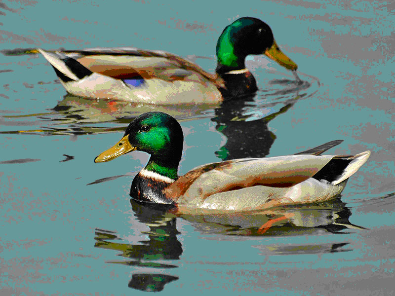 Азбука-загадка 22