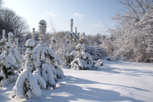 Поверь в себя