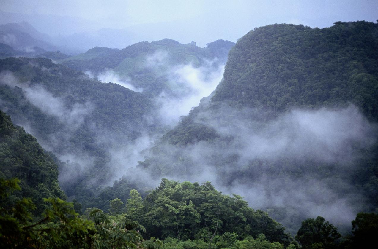 Вечер в горах