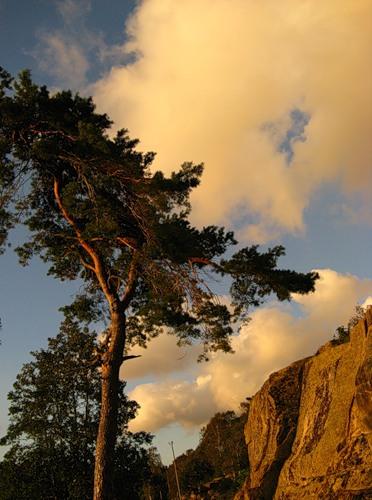 Последний день лета