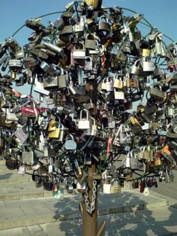 Кто видел дерево любви?