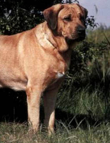 Вот снова вместо...