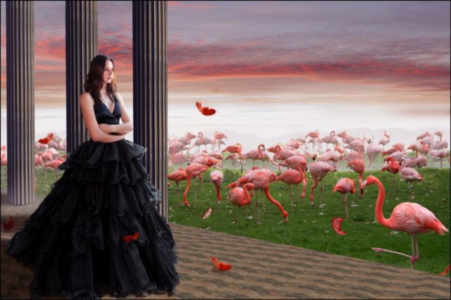 Облака нынче цвета фламинго...