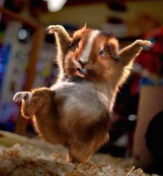 Дайте, мне точку опоры