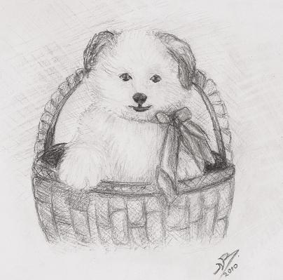 Про щенка. В гостях