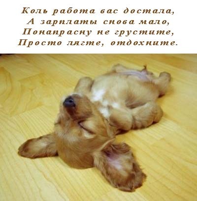 У тебя сегодня приступ лени