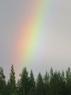 На земле Учителей