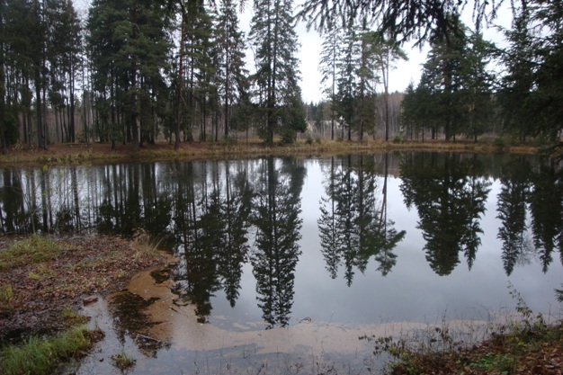 Опасная осень