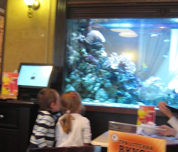 Аквариум