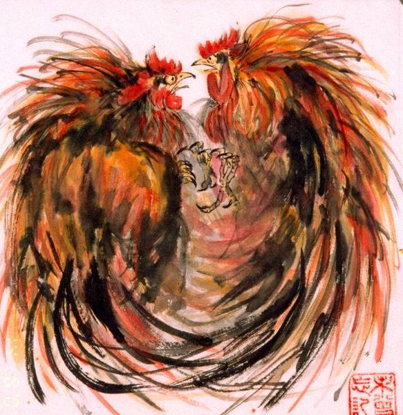 Петушиные бои