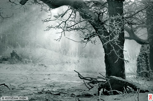 Утешение. За темным таинством портьер