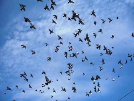 У другой не отняла