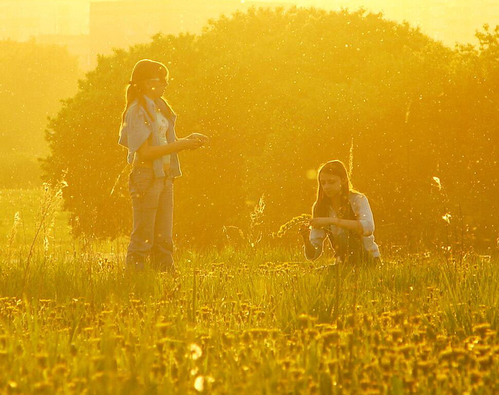 Мир моей мечты