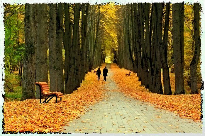 На двоих только сон и мечты с потолка...