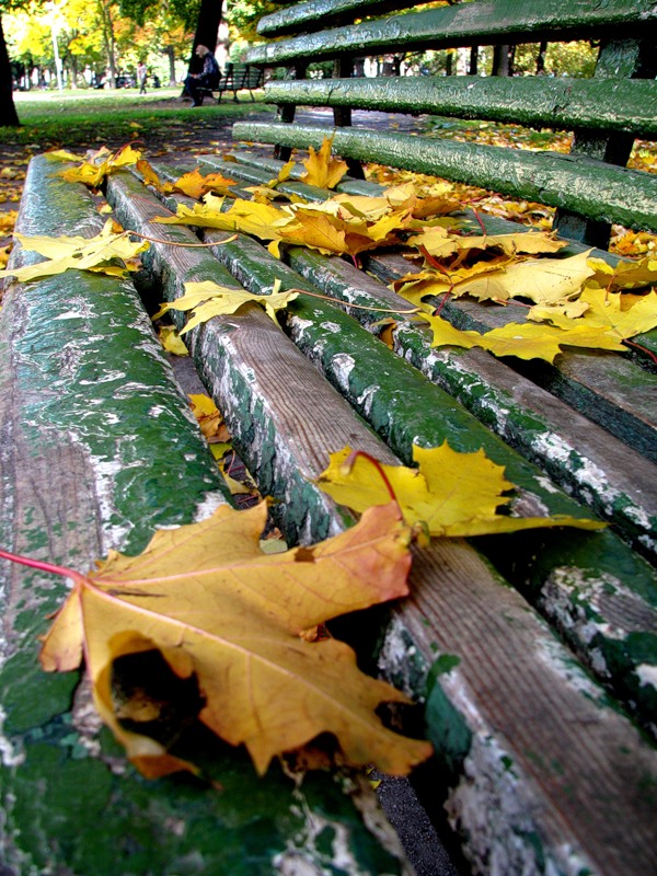 Осень после сорока