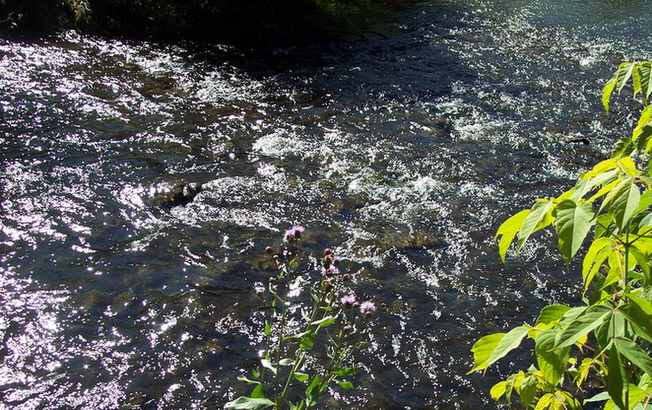 Светло в день бирюзовый