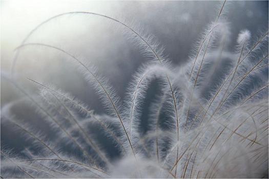 Женщина и Луна