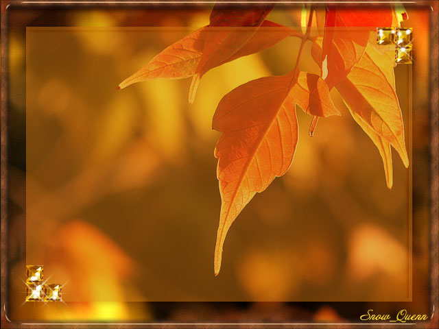 Мысли вслух