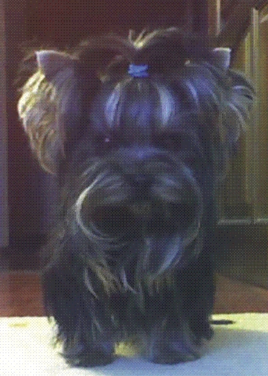 Ушедшее чудо