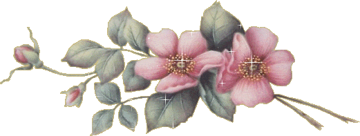 Picture background