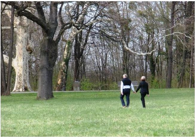 Серебрит седина