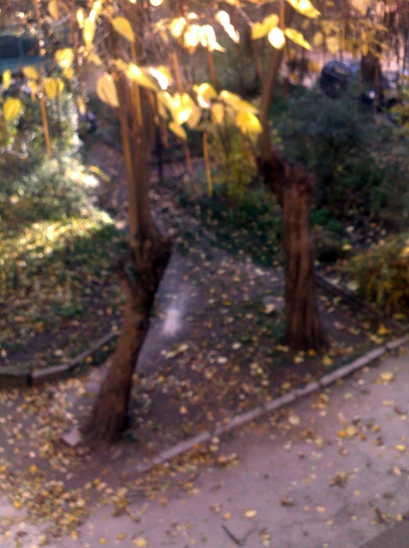 Осень без Бога