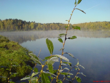Странный художник